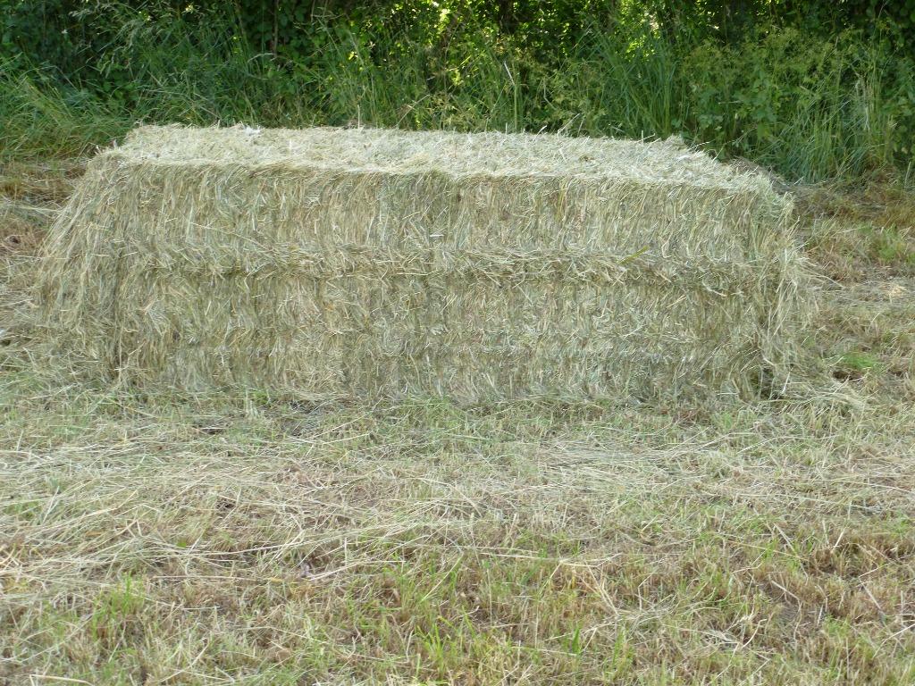FOIN et PREFANE BIO 2025 top qualité, Enlèvement