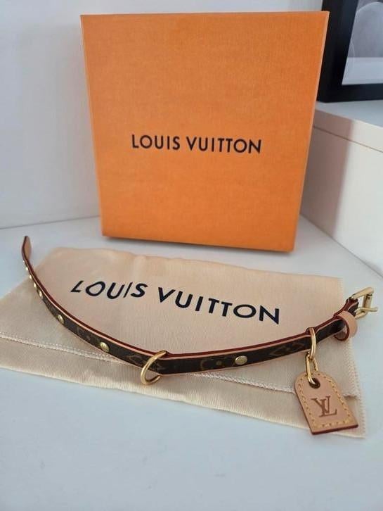 Louis vuitton halsband hond, Bijoux, Sacs & Beauté, Bracelets, Enlèvement, Neuf
