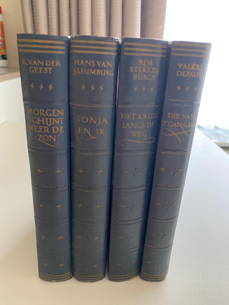 Oude Romans Triomf Reeks - Uitgegeven bij Jan Van Tuyl, Ophalen of Verzenden, Gelezen, België