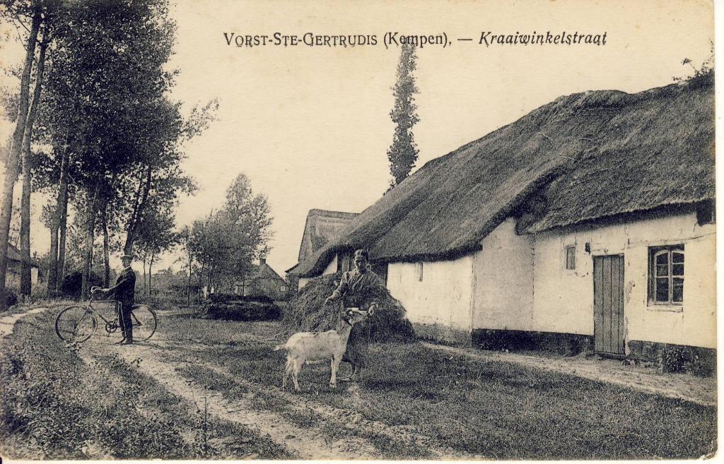 Vorst Ste Gertrudis Laakdal Kraaiwinkelstraat, Ophalen of Verzenden, 1920 tot 1940, Ongelopen, Antwerpen