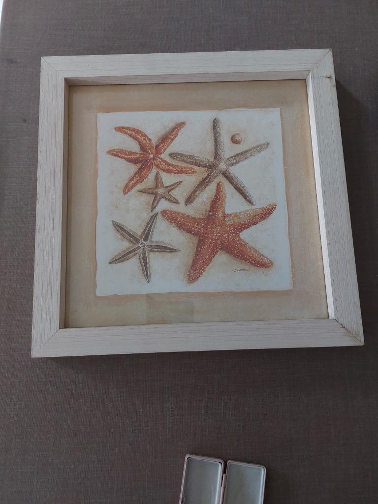 Kader met schets van zeesterren, Ophalen, Gebruikt