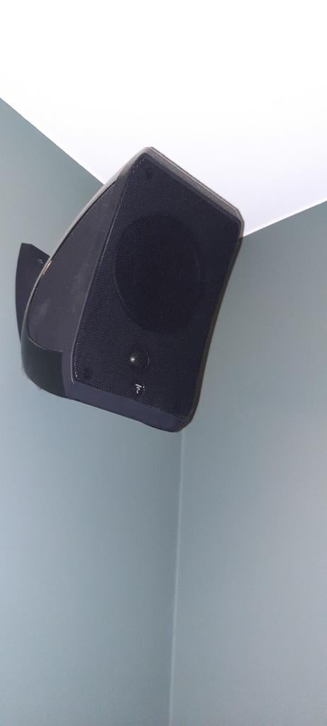 Focal Sib Evo, Audio, Tv en Foto, Luidsprekerboxen, Ophalen, Subwoofer