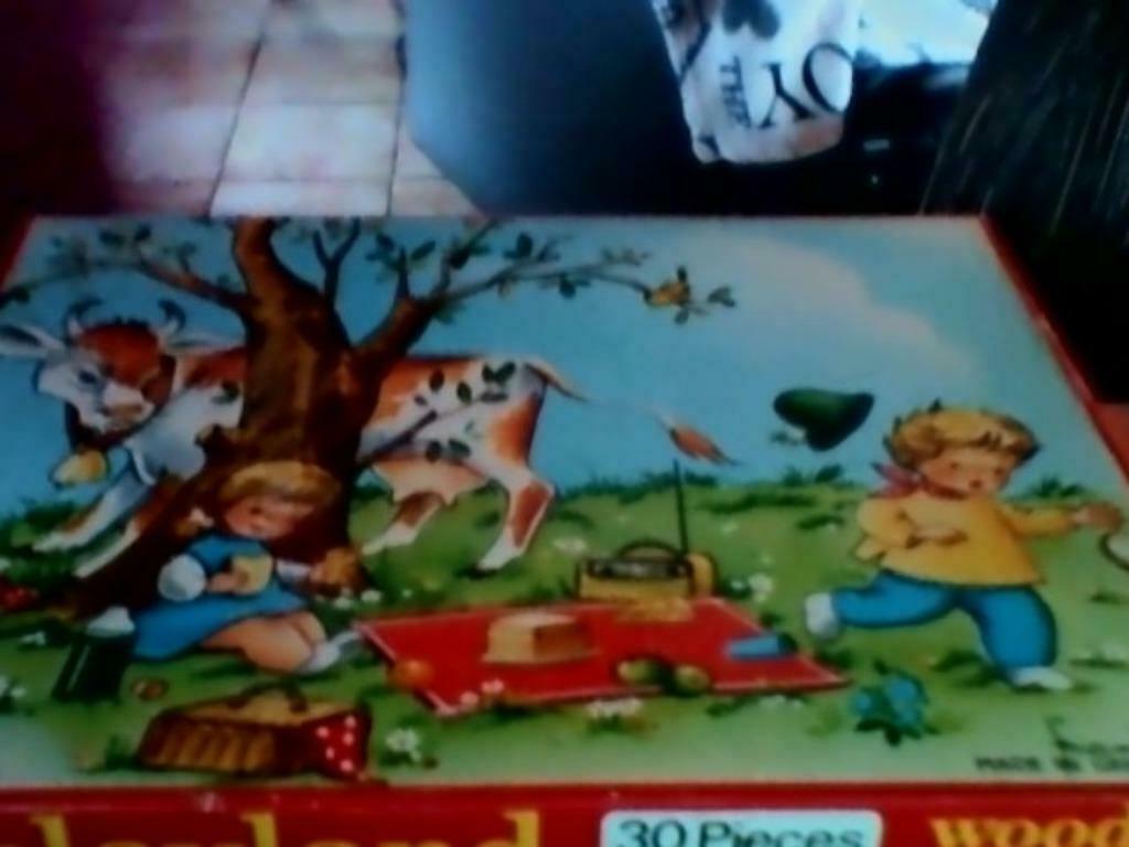 Puzzel Pick-nick, Ophalen of Verzenden, Gebruikt, Van hout