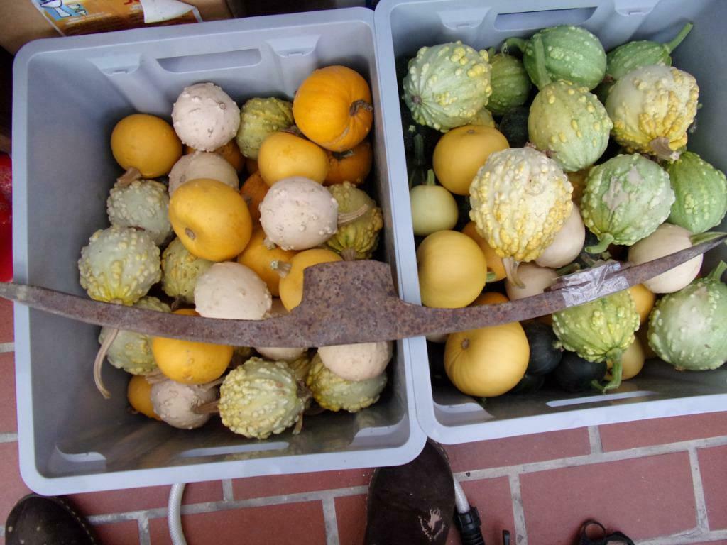 Pikhouweel, Ophalen of Verzenden, Gebruikt
