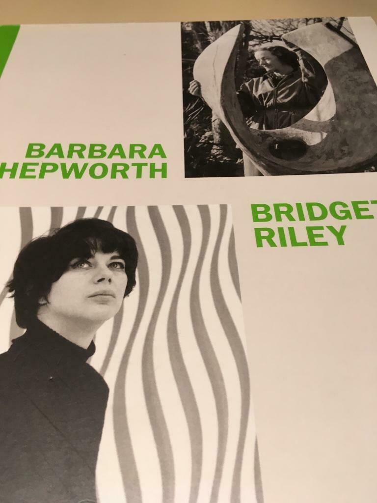 Bridget Riley Barbara Hepworth sculptures 60pag, Ophalen of Verzenden, Nieuw, Beeldhouwkunst