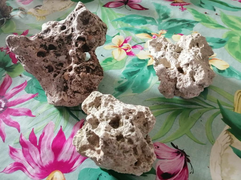 3 maanstenen, Dieren en Toebehoren, Ophalen, Gebruikt, Plant(en), Steen of Hout