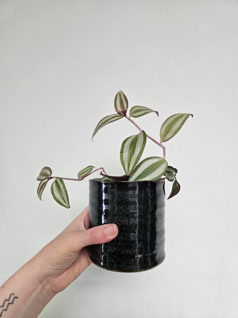 Bloempot / cachepot, Ophalen of Verzenden, Zo goed als nieuw, Blauw