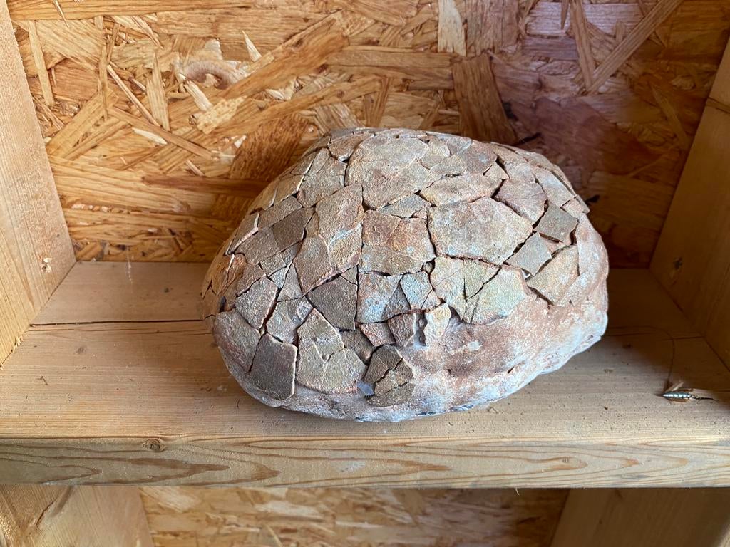 objet prehistorique Oeuf d’oiseau reconstitué, Enlèvement ou Envoi