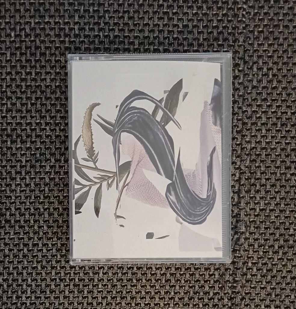 Tape: Sloth Racket: See the looks on the faces (Tombed Visio, CD & DVD, Cassettes audio, Enlèvement ou Envoi, Originale, Jazz et Blues