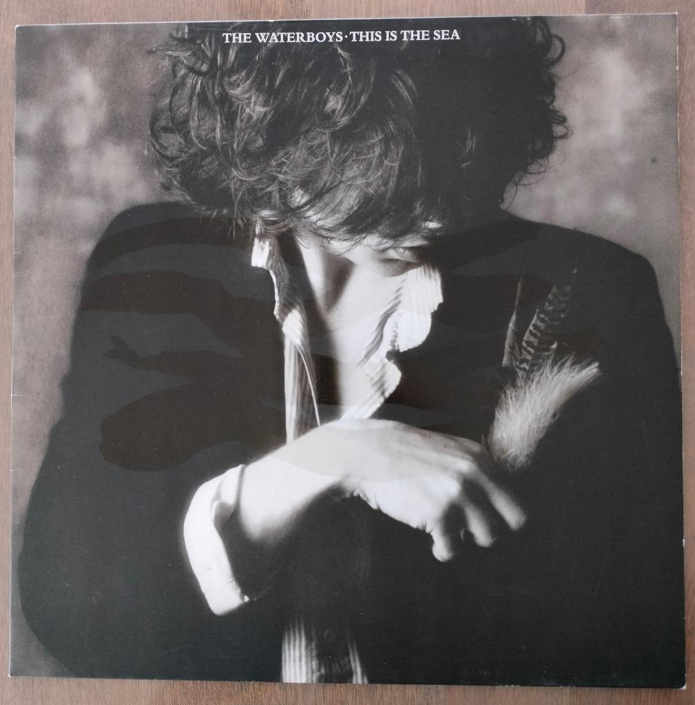 The Waterboys - This Is The Sea, Ophalen