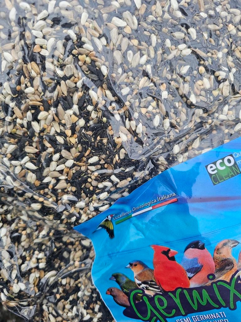 Germix Goudvink, Kardinaal, Groenling ( fringillidi ) 4 kg, Ophalen