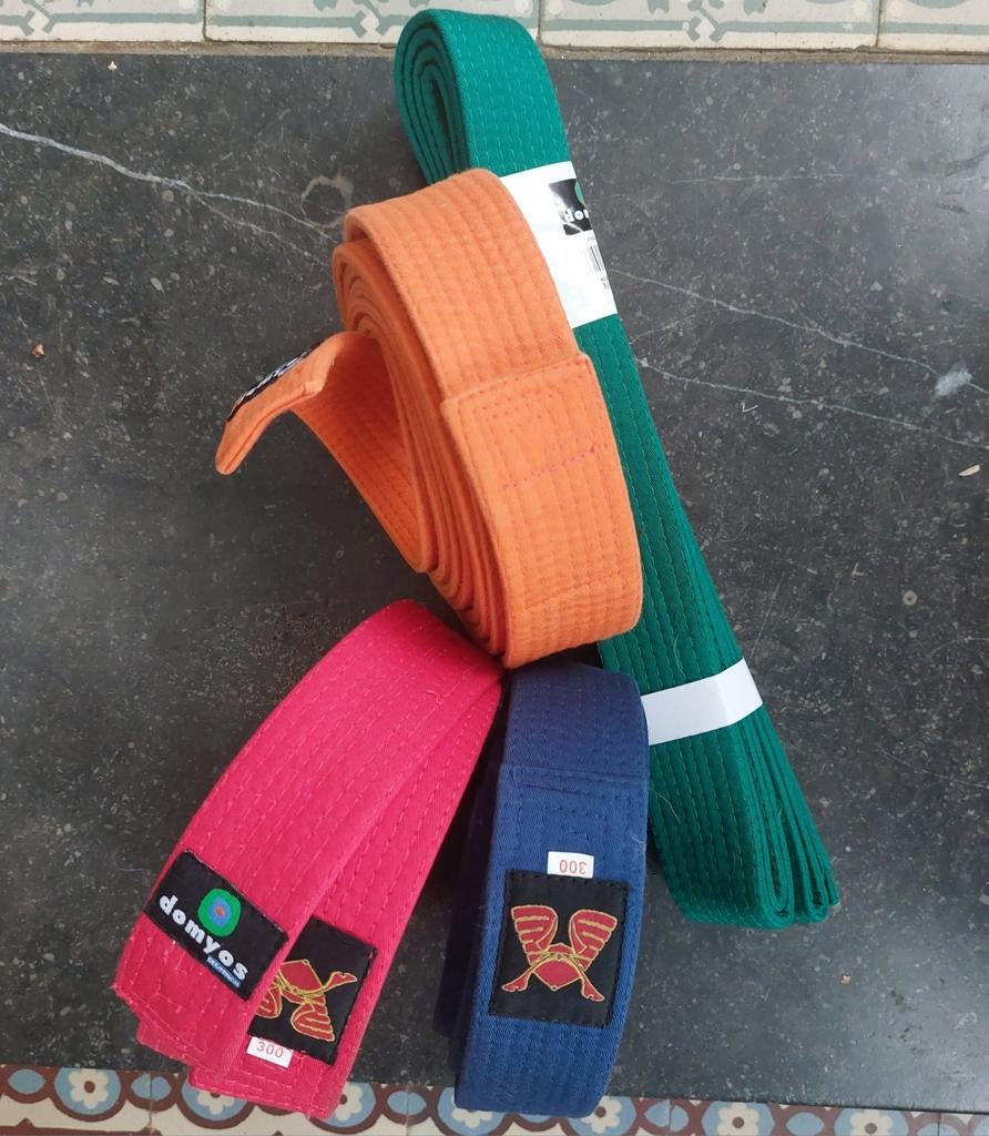 4 ceintures de kimono, Sports & Fitness, Enlèvement, Utilisé, Judo