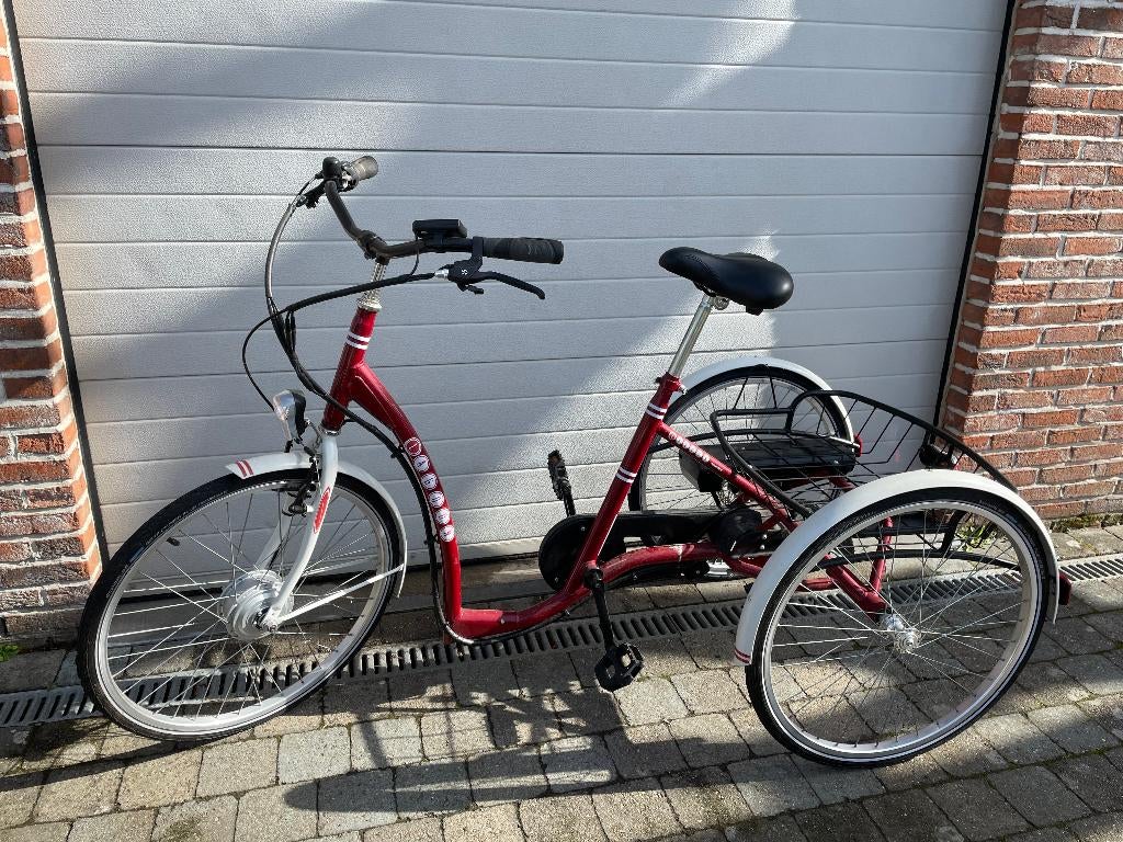 Lagoon elektrische driewielfiets, Ophalen, Gebruikt