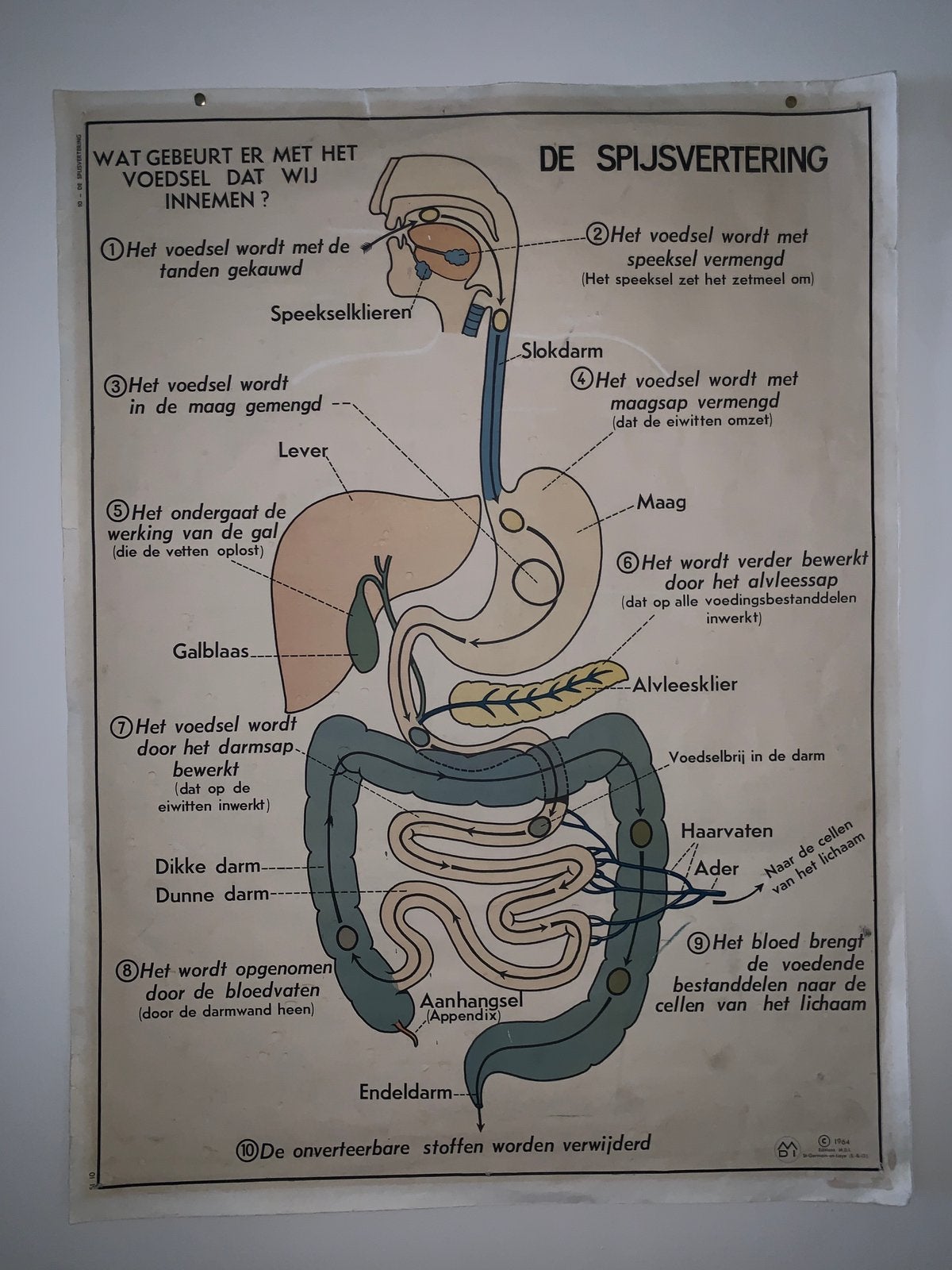 Oude educatieve schoolposter 1964, Ophalen, Origineel