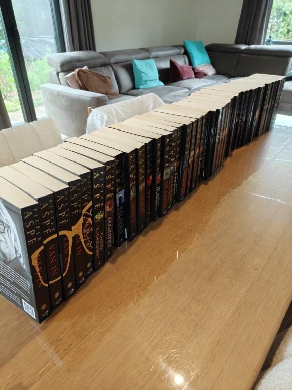 Pieter Aspe, Boeken, Ophalen, Gelezen, Pieter Aspe