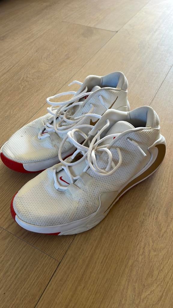Basketbalschoen nike maat 45, Sport en Fitness, Basketbal, Ophalen, Zo goed als nieuw