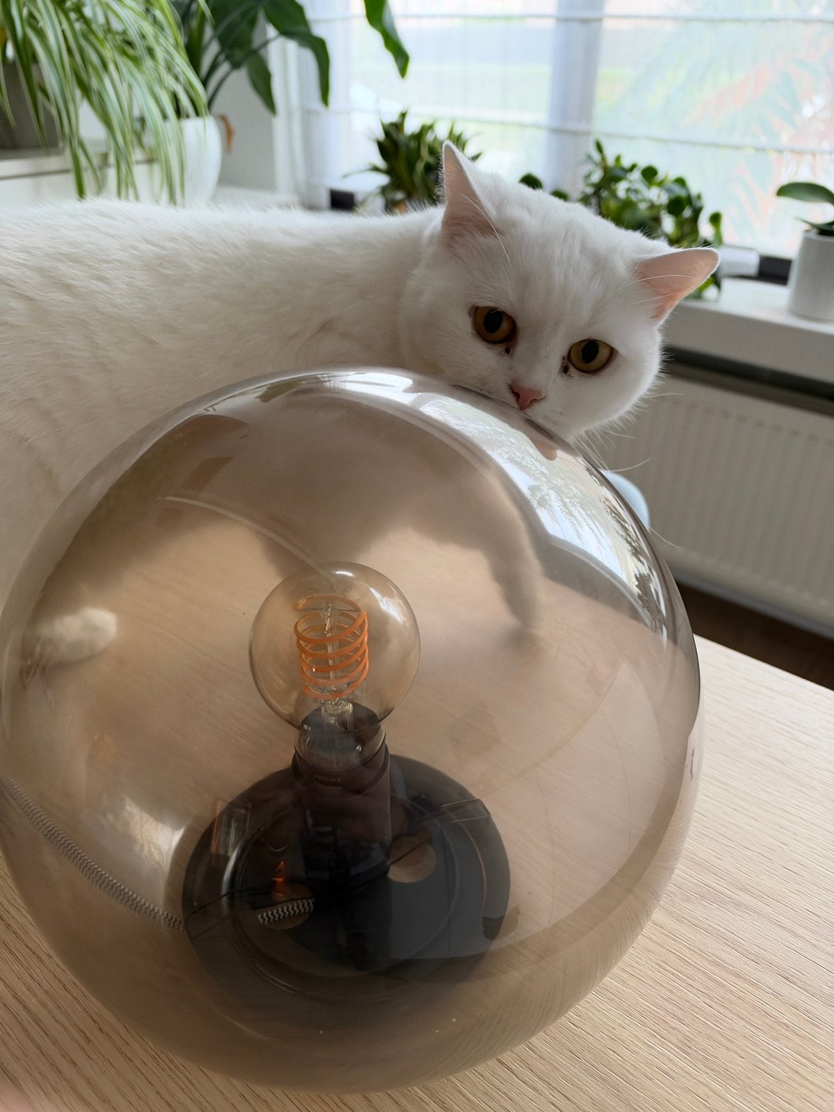 Ikea lamp, Ophalen, Zo goed als nieuw