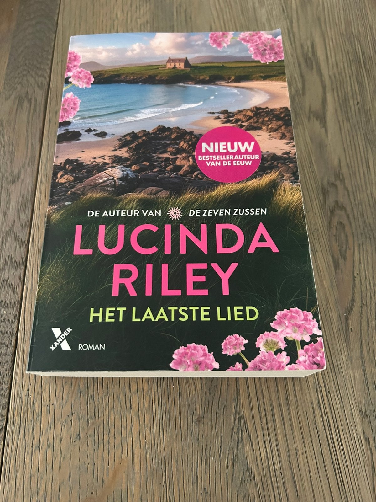 Het laatste lied, Boeken, Chicklit, Ophalen of Verzenden, Zo goed als nieuw