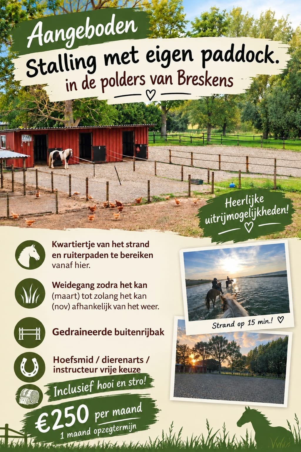 1 stal ter beschikking  Breskens, Mise à l'étable, 1 cheval ou poney