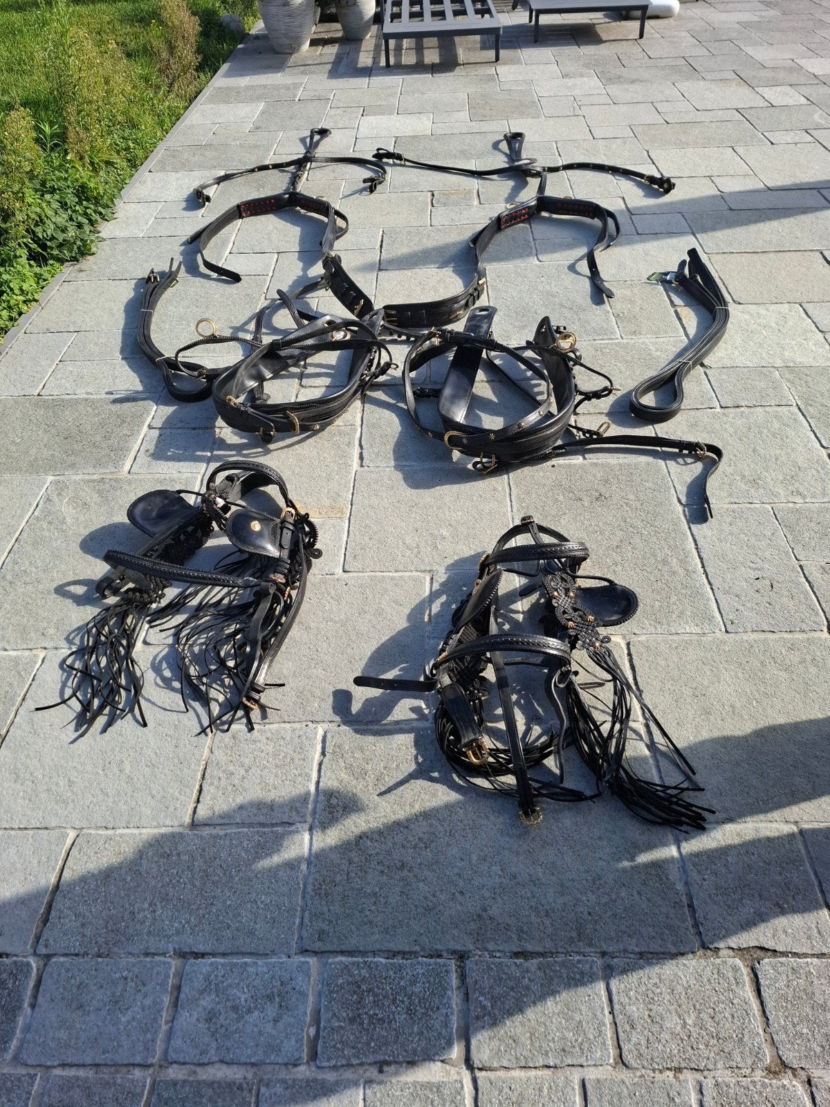 tweespan tuig, Dieren en Toebehoren, Ophalen, Cob