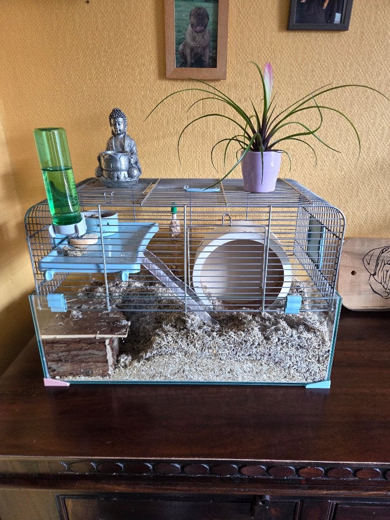 Grande cage sur 2 ètages comme neuve, Animaux & Accessoires, Cage, Comme neuf, 60 à 90 cm, Rat