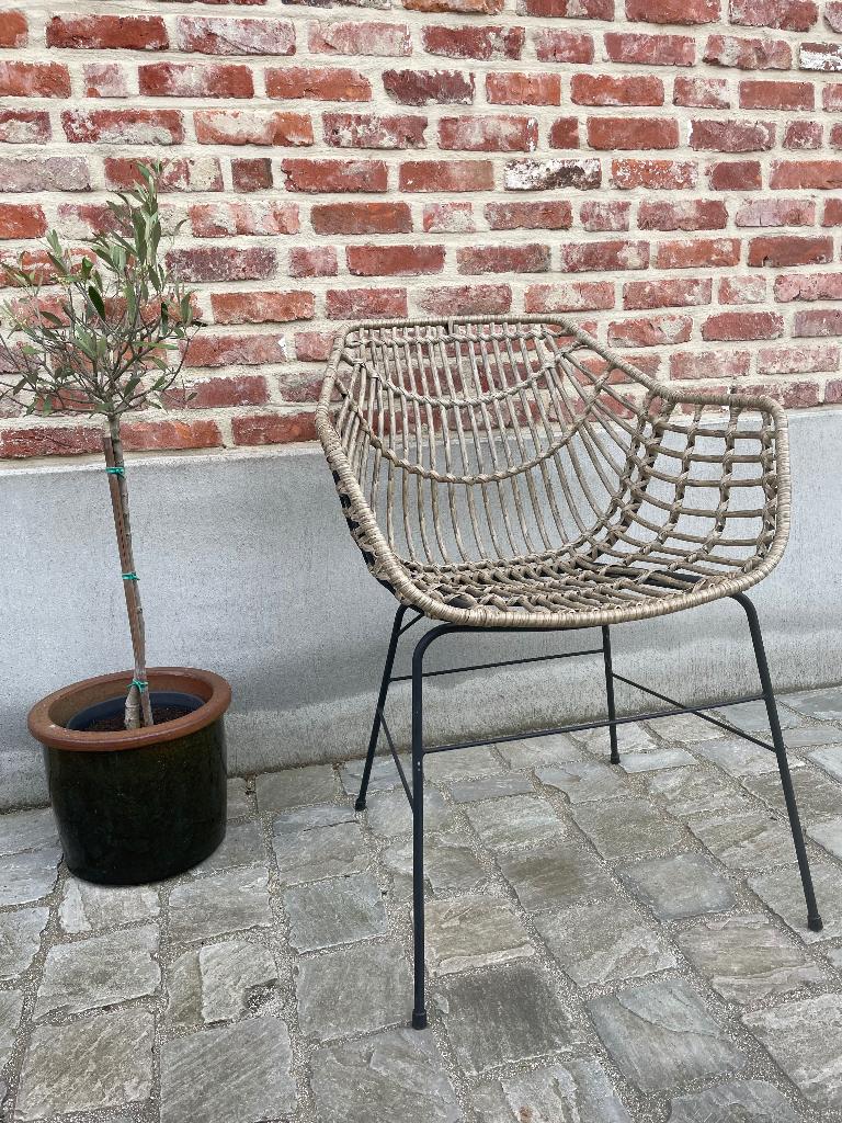 Set 6 tuinstoelen, Jardin & Terrasse, Chaises de jardin, Enlèvement, Utilisé, Rotin