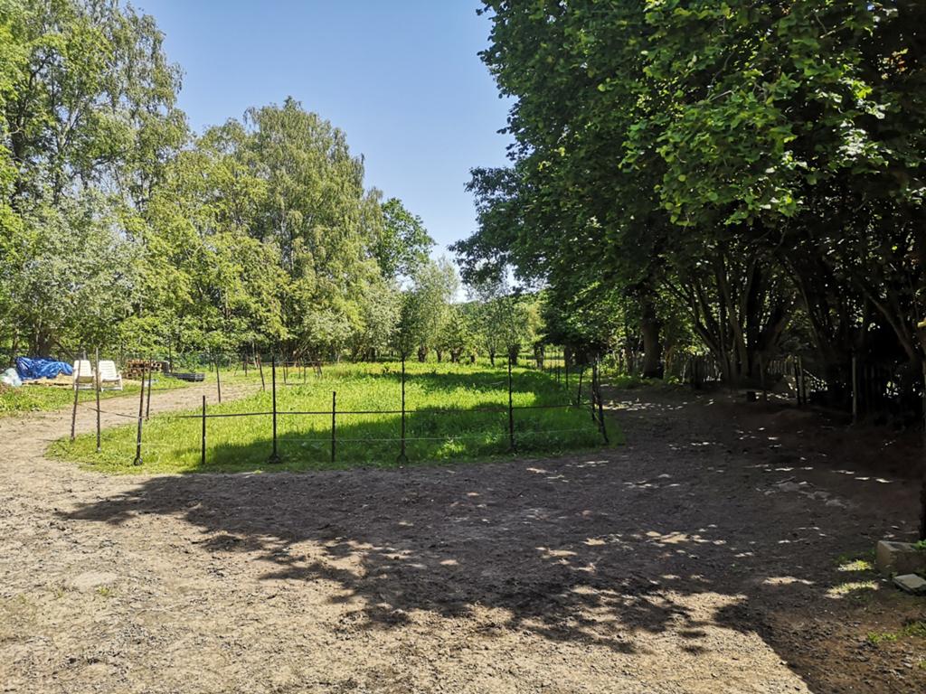 Kleine weide te huur (Waasmunster - Ruiter), Dieren en Toebehoren, Stalling en Weidegang