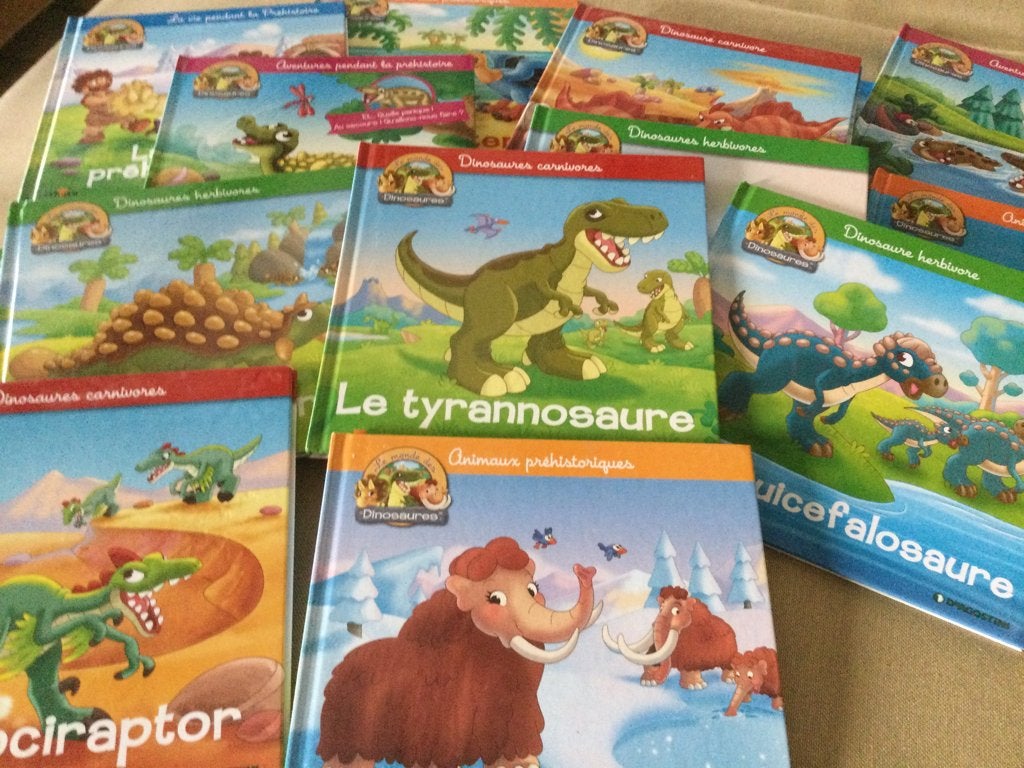 Livres pour enfants, Enlèvement, Neuf, 3 à 4 ans