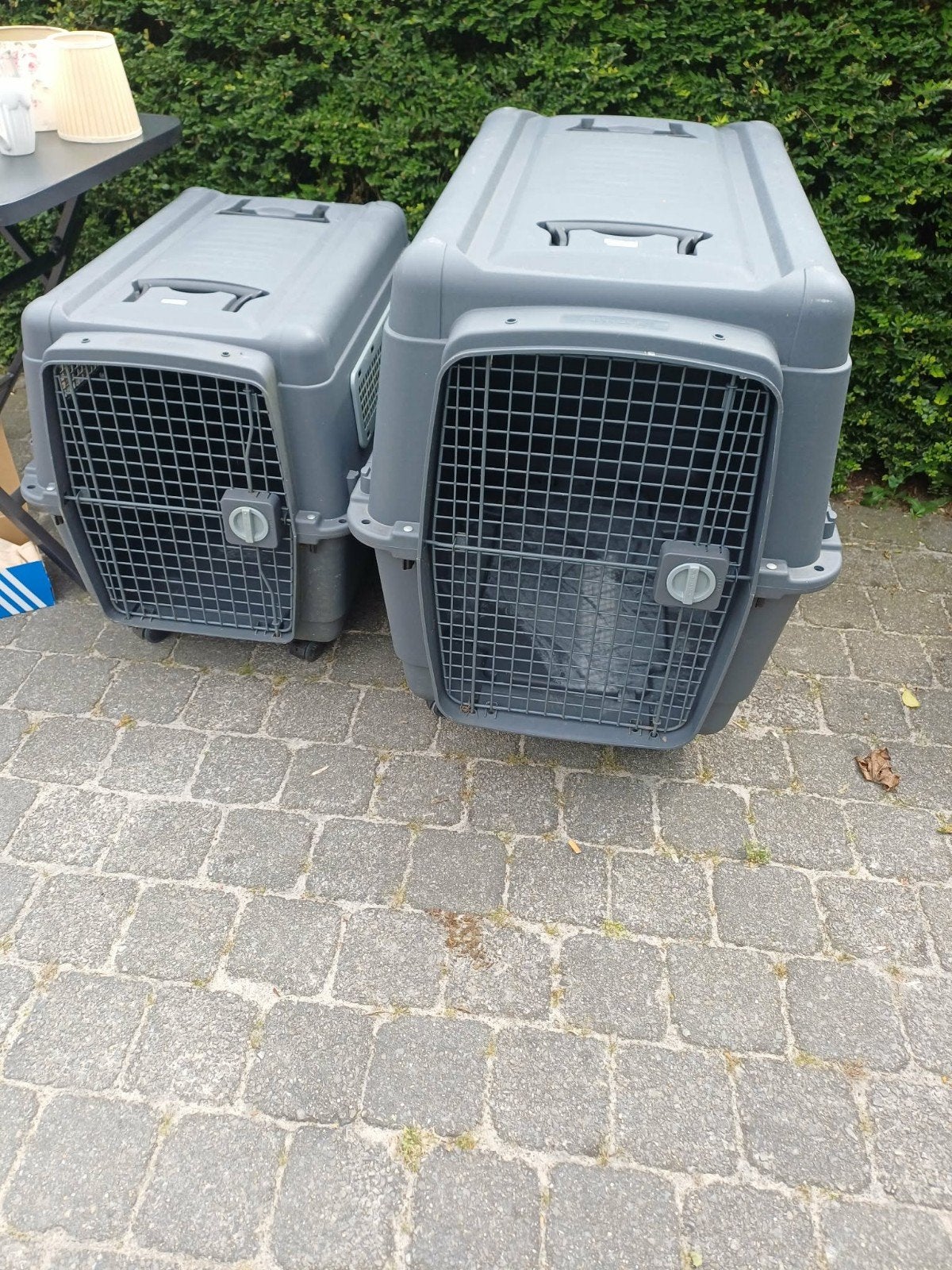 Hondentransportbench te koop, Ophalen
