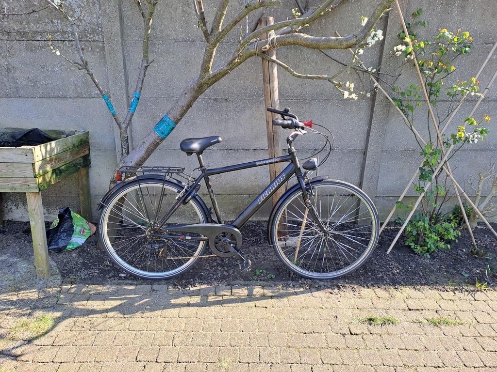 Zwarte herenfiets Ficarius, Enlèvement