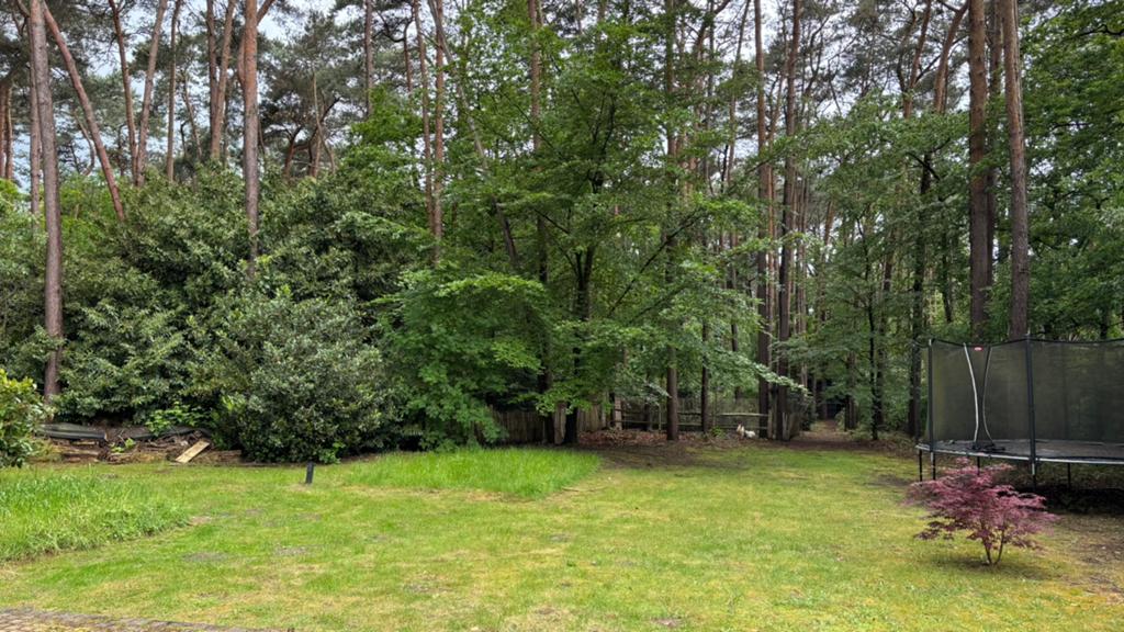 Brandhout, Tuin en Terras, Brandhout, Stammen, Berkenhout, Ophalen
