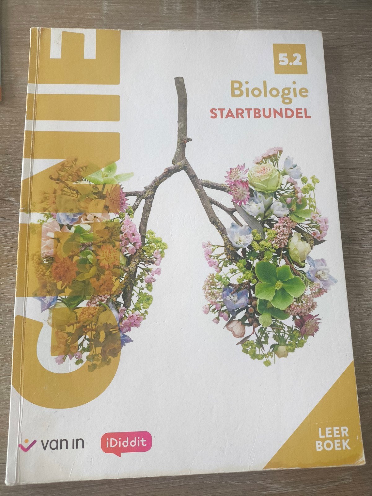 Genie Biologie 5 - Leerboek, Livres, Livres scolaires, Biologie, Comme neuf, Secondaire, Enlèvement