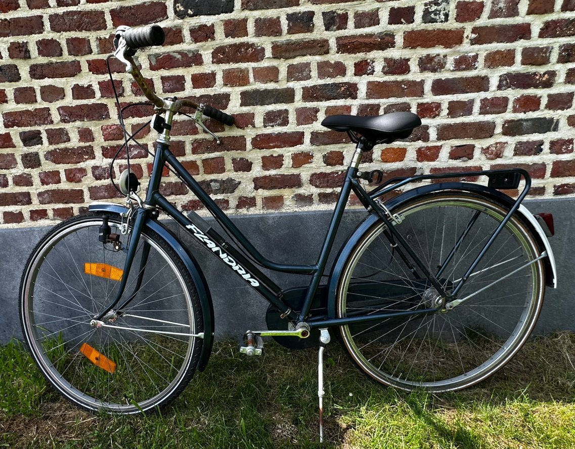 Damesfiets, Fietsen en Brommers, Velgrem, Versnellingen, Zo goed als nieuw, 50 tot 53 cm