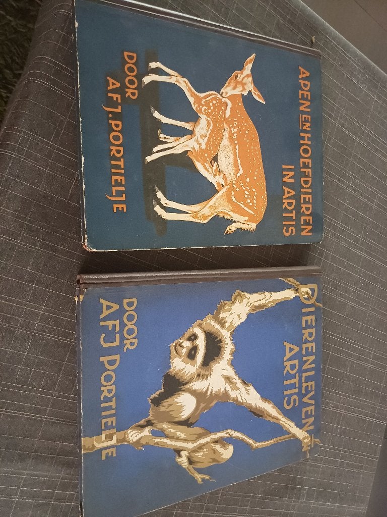 ARTIS, Livres, Livres d'images & Albums d'images, Enlèvement