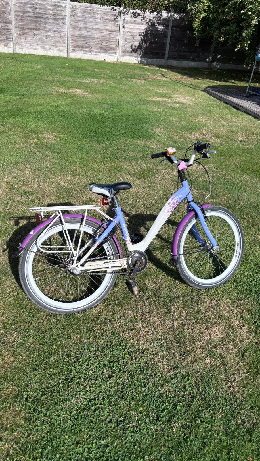 22inch meisjesfiets, Ophalen, 22 inch, Gebruikt, Velgrem