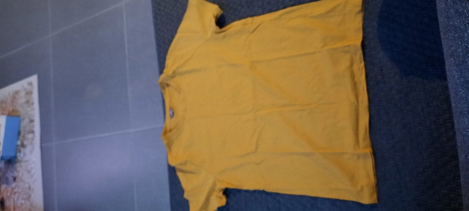 T-shirt maat 36, Kleding | Dames, Ophalen of Verzenden, Maat 36 (S)