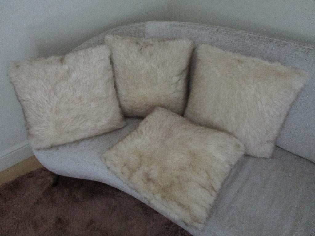 4 dezelfde sier kussens, Wasbaar, Beige, Vierkant, Nieuw