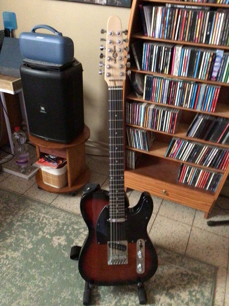 12snarig gitaar, Muziek en Instrumenten, Ophalen, Zo goed als nieuw