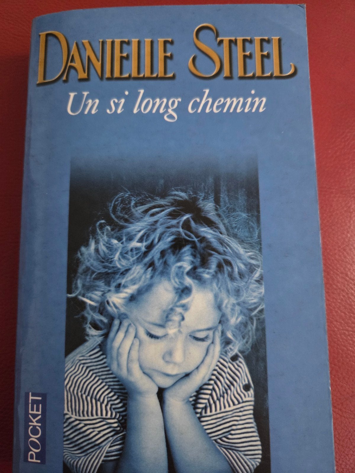 Danielle Steel, Livres, Romans