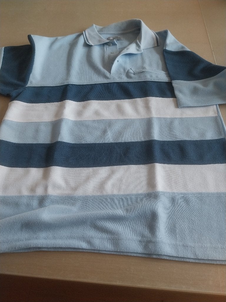 Polo homme « Pierre Baldini» (X2)., Kleding | Heren, Polo's, Ophalen, Maat 52/54 (L), Baldini, Meerkleurig