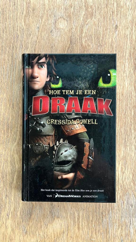 Hoe tem je een draak + jongens weetjes boek, Enlèvement, Comme neuf