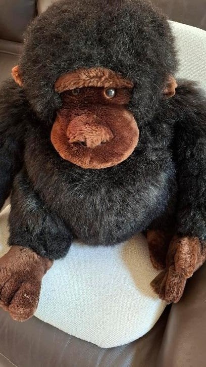 Grand gorille en peluche réaliste, doux comme neuf, Enfants & Bébés, Jouets | Peluches, Brun, Comme neuf, Moyen (20 à 80 cm), Enlèvement ou Envoi