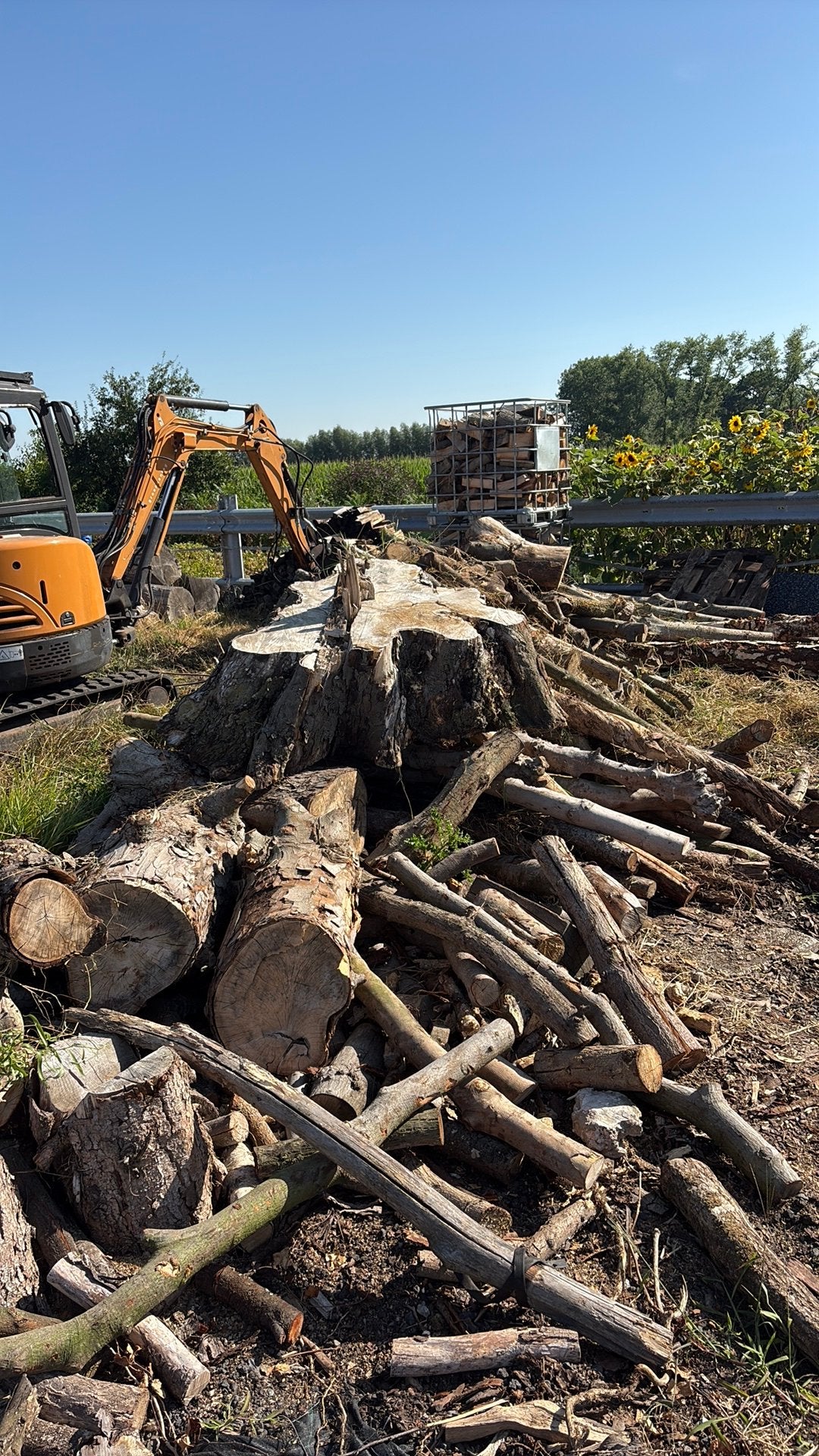 Brandhout zelf te verwerken 2de keus, Tuin en Terras, Brandhout, 6 m³ of meer, Ophalen, Overige houtsoorten, Takken