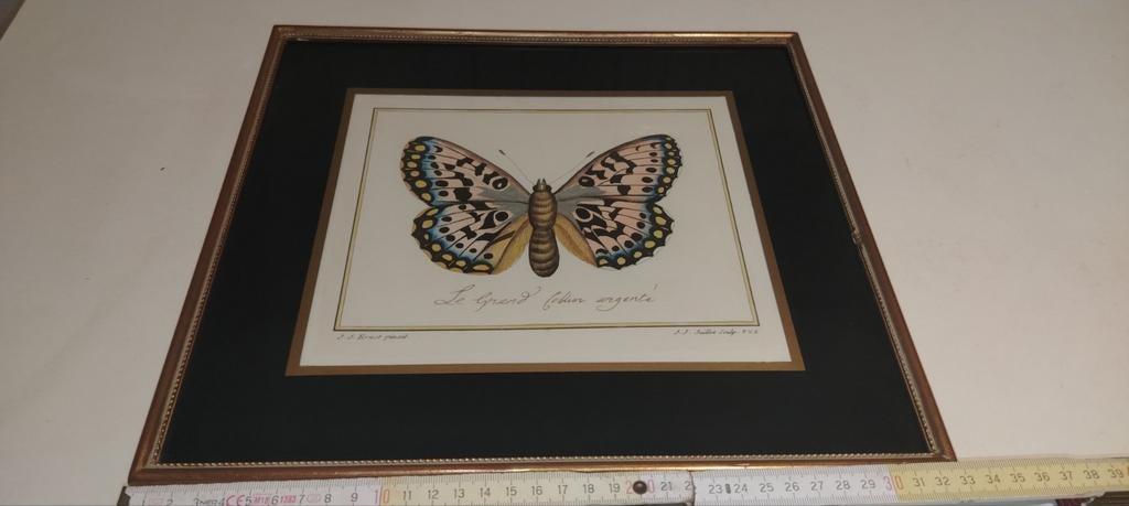 Tekening, Antiek en Kunst, Kunst | Etsen en Gravures, Ophalen of Verzenden