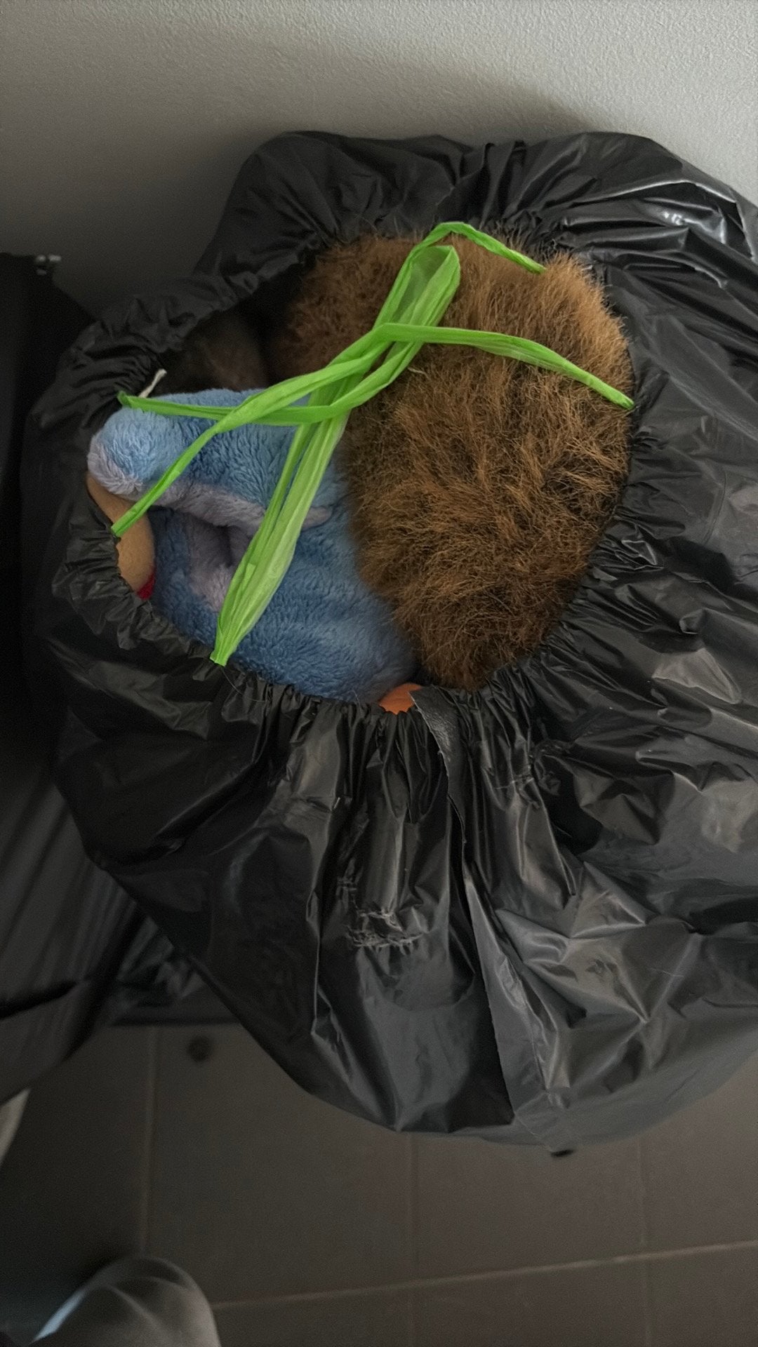 Sac rempli de câlins, Enlèvement, Utilisé, Ours, Petit (moins de 20 cm)
