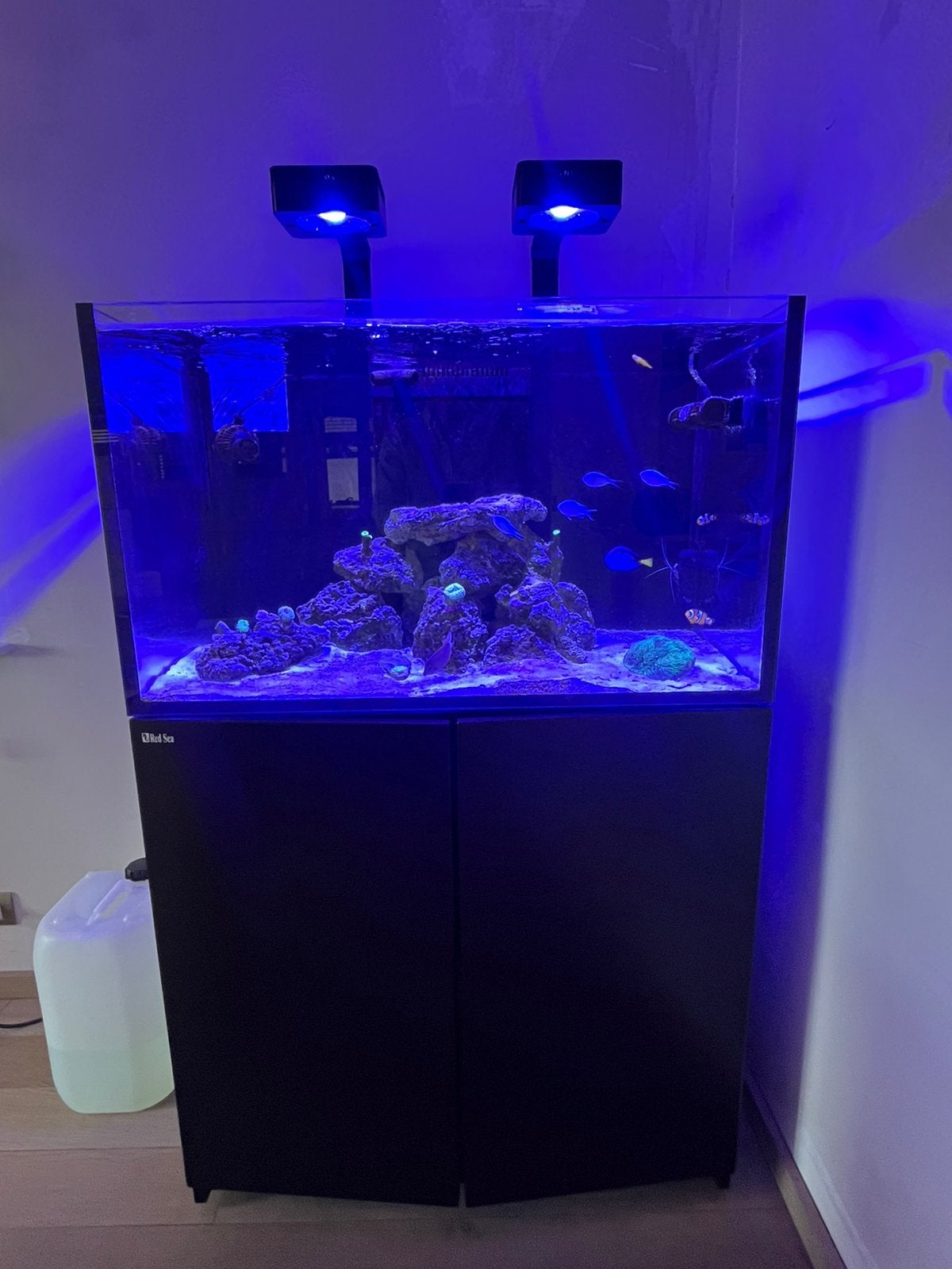 Reefer Red Sea 250 G2, Enlèvement, Comme neuf, Red Sea