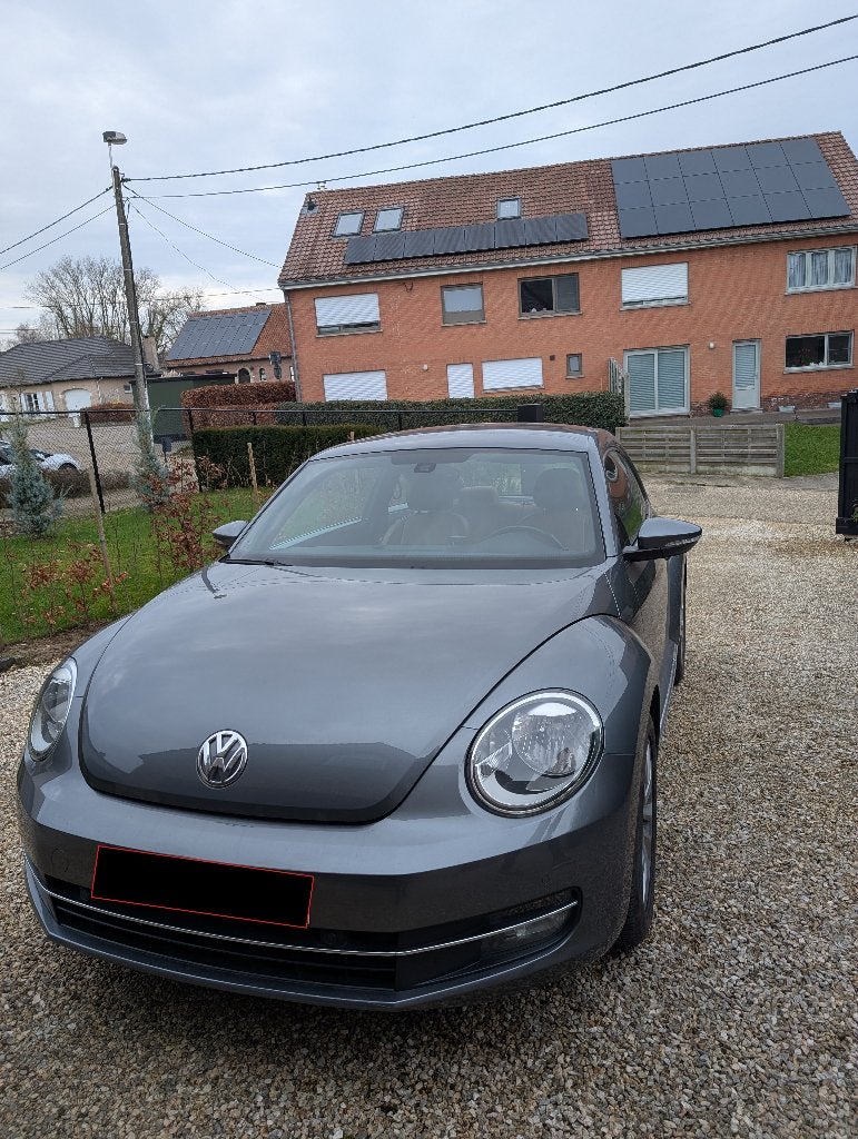 Volkswagen Beetle, Autos, Volkswagen, Cuir, Achat, Beige, Boîte manuelle