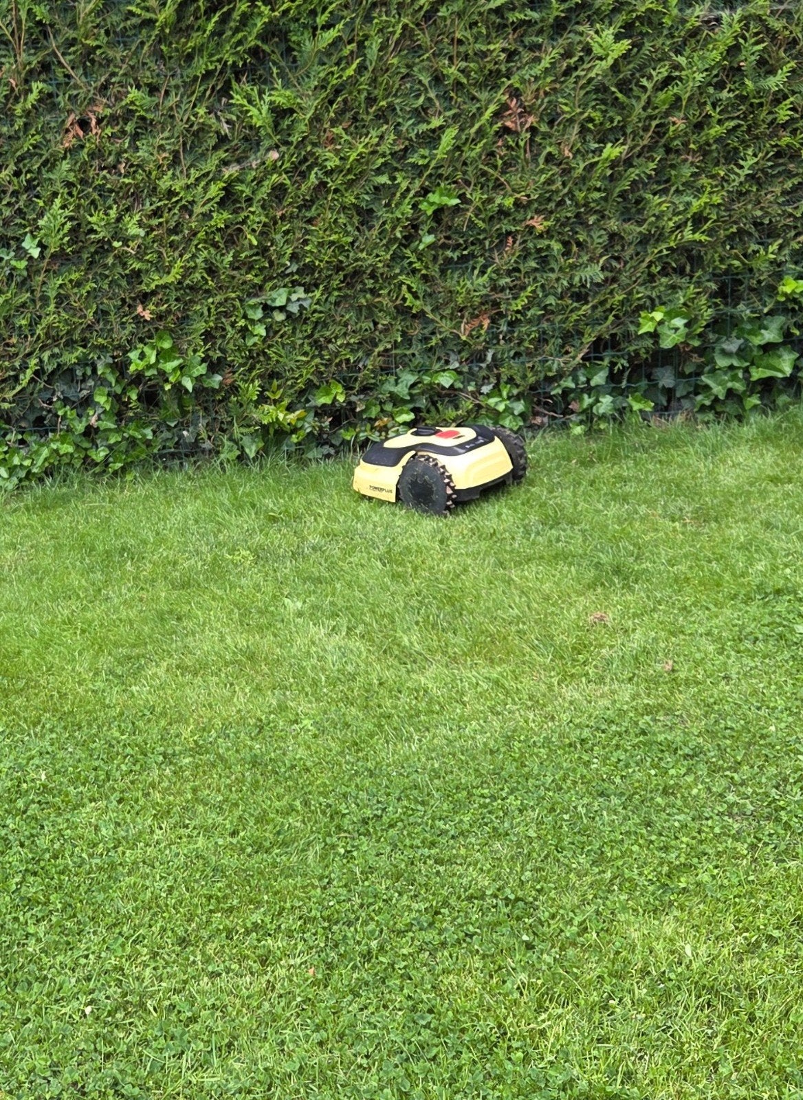 Robot à gazon Powerplus âgé de 3 ans, Enlèvement