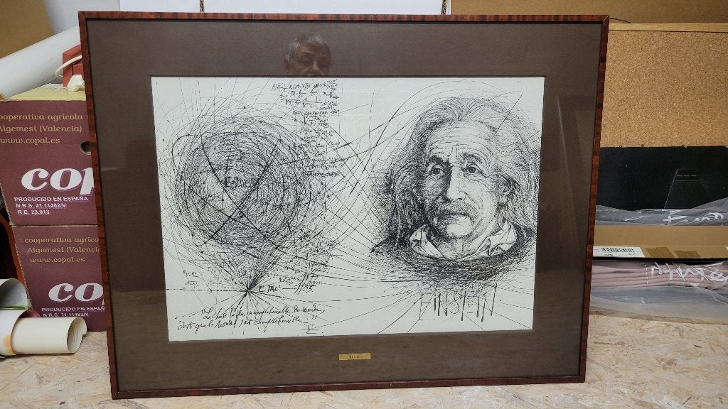 Albert Einstein par Pierre-Yves Trémois, Enlèvement