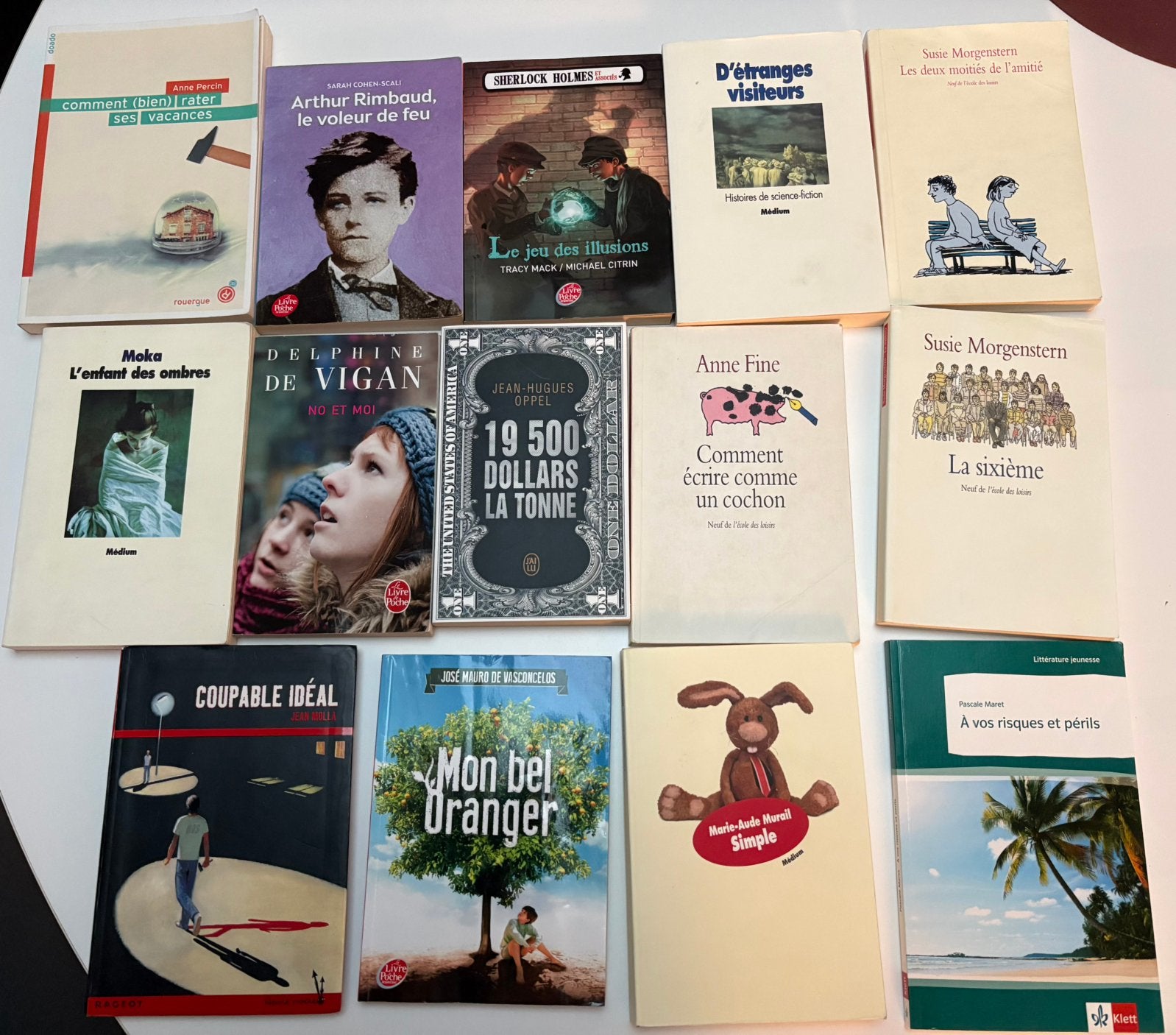 Lot de livres, romans scolaires, Livres, Enlèvement ou Envoi, Utilisé, Enseignement secondaire inférieur